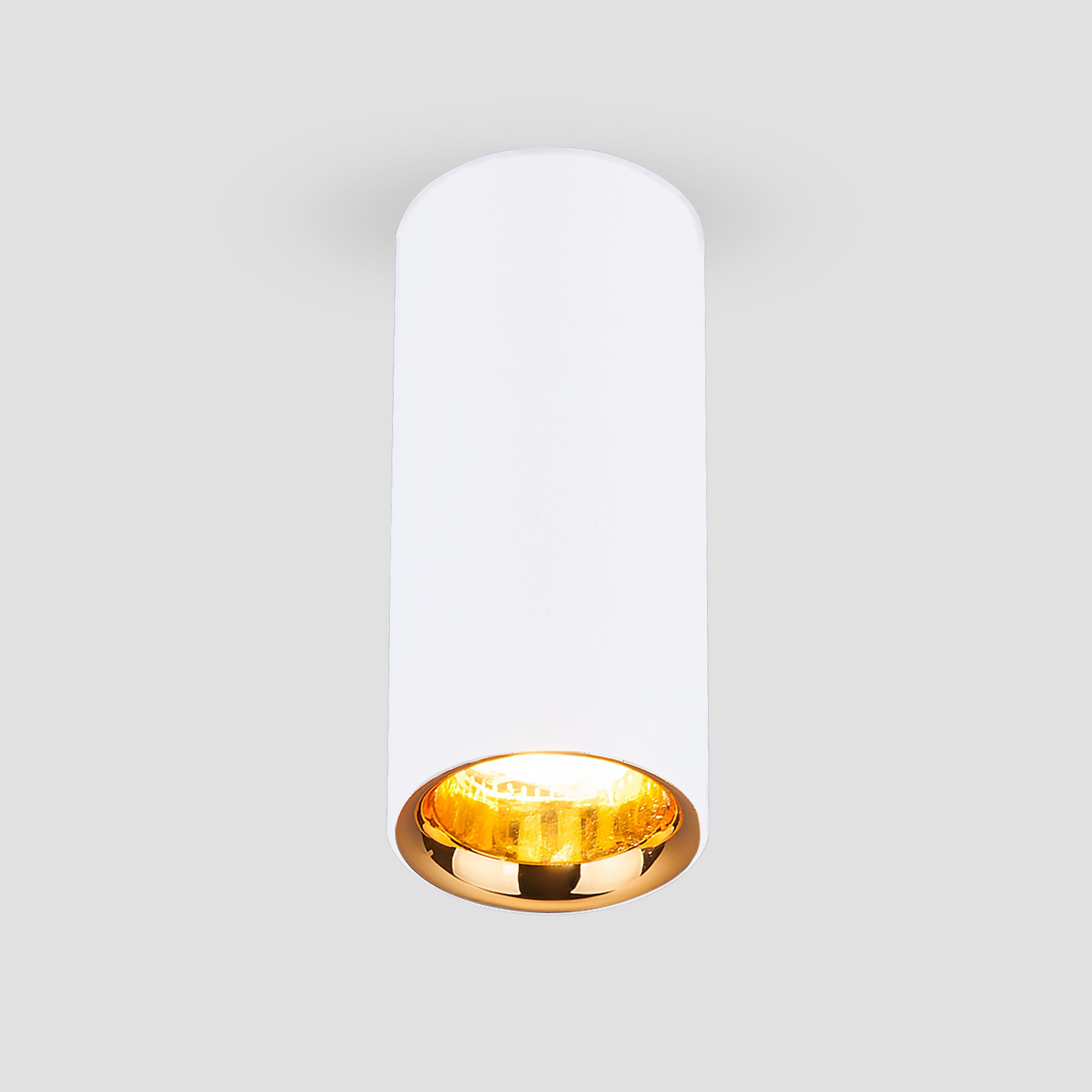 Накладной светодиодный светильник DLR030 12W 4200K белый матовый/золото. Фото 1
