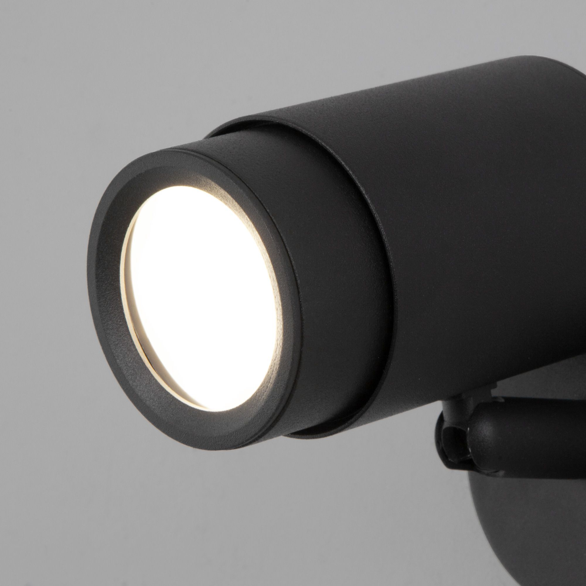 Настенный светильник Eurosvet Morgan 20124/1 черный. Фото 3