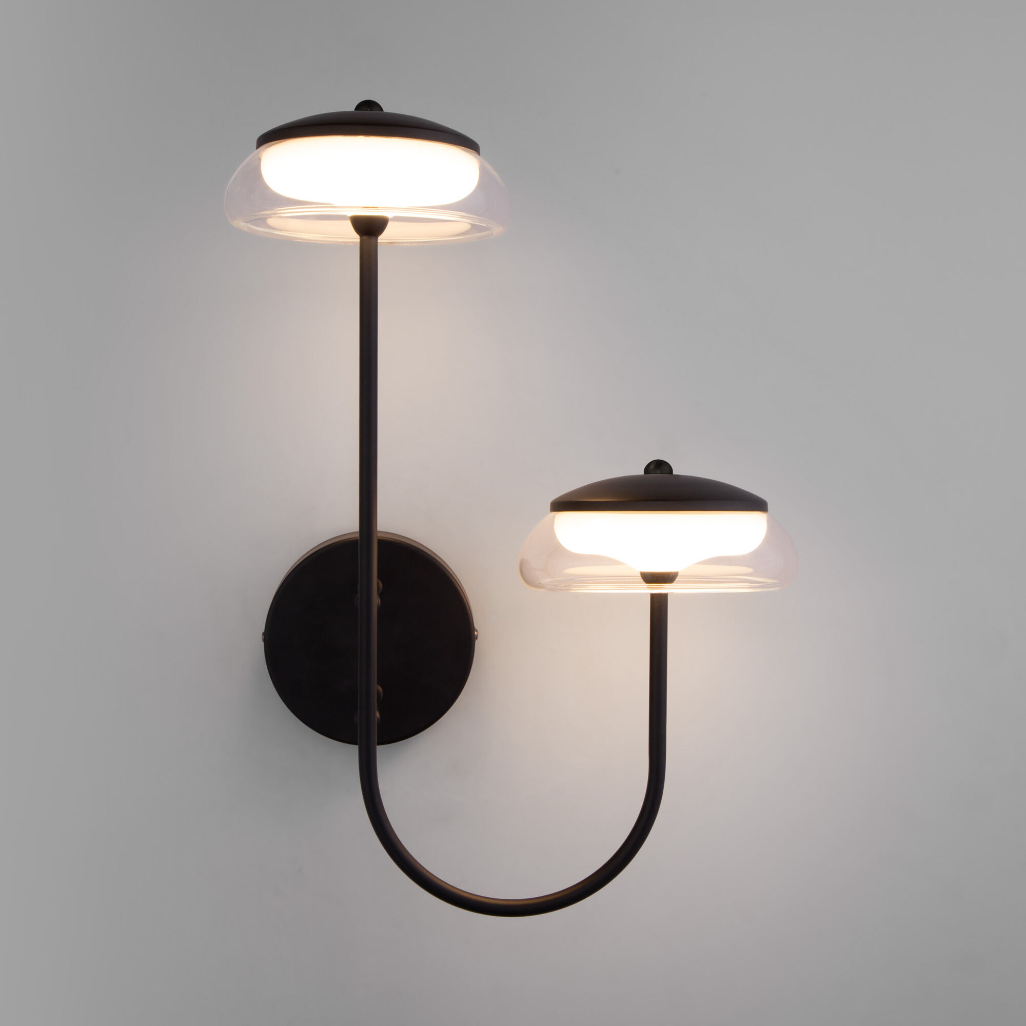Настенный светильник со стеклянным плафоном Eurosvet Fungo 50388/2 LED черный. Фото 1