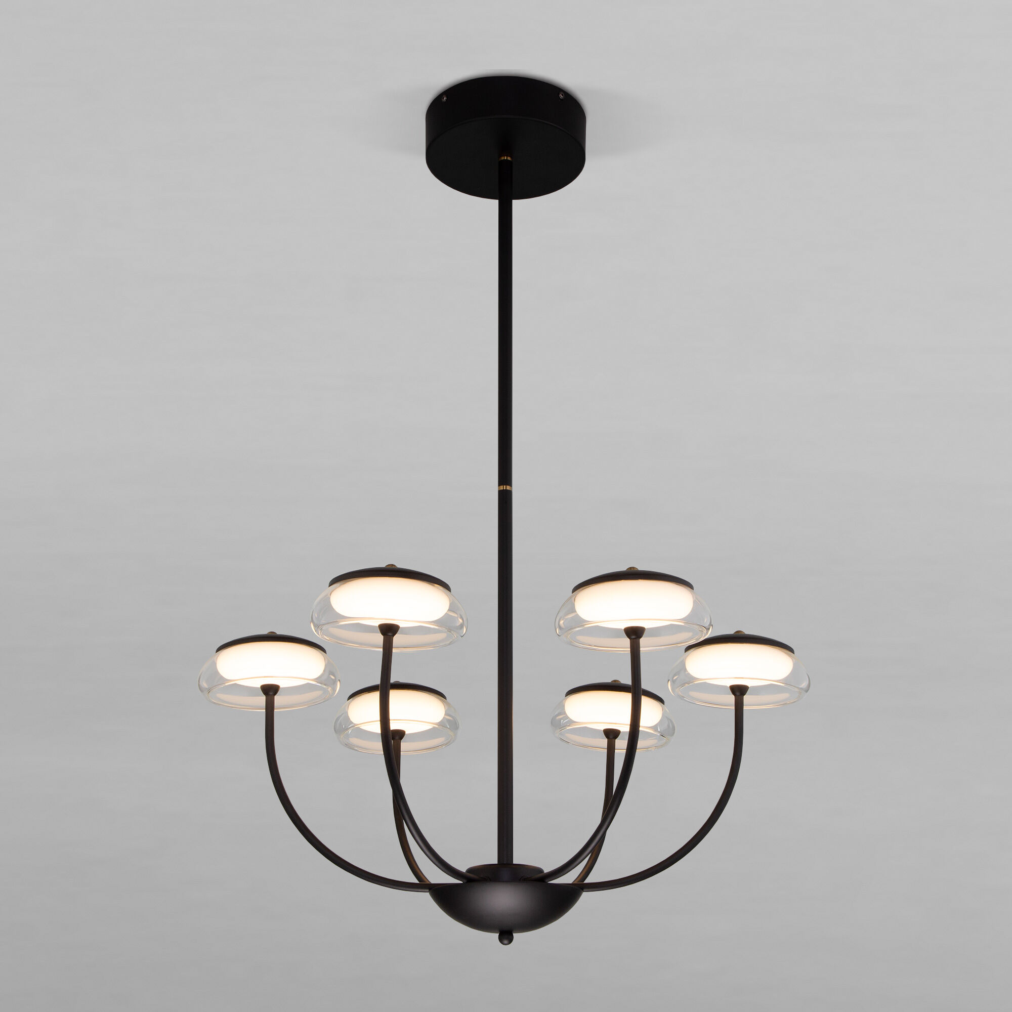 Потолочный светильник со стеклянным плафоном Eurosvet Fungo 50388 LED Черный. Фото 1