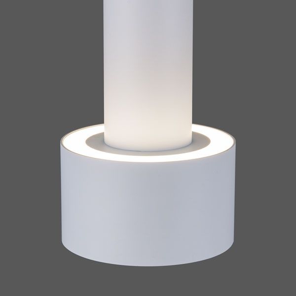 Накладной потолочный светодиодный светильник DLR033 белый