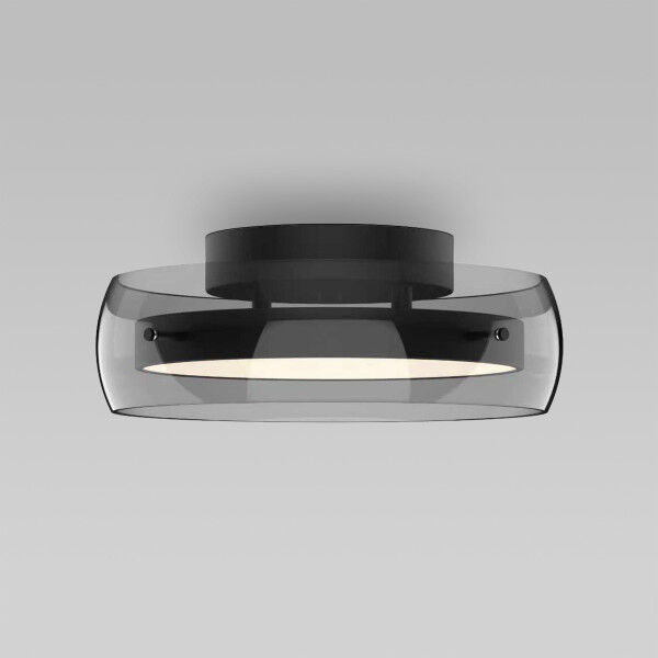 Потолочный светильник черный