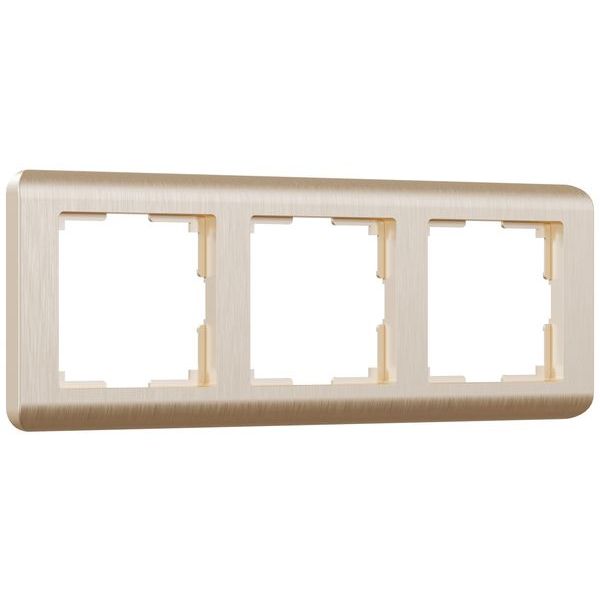 Рамка из поликарбоната на 3 поста Stream шампань W0032111